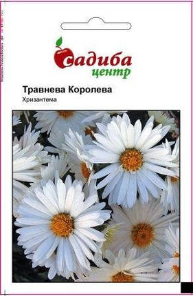 Насіння хризантеми Травнева королева 0,1 г, Hem Zaden, фото 1