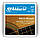 Струни для акустичної гітари D`ADDARIO  EJ11, фото 2