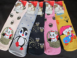 Жіночі махрові шкарпетки з вовни.