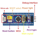 Плата розробника з мікроконтролером STM32 на основі ARM — Cortex-M, фото 3
