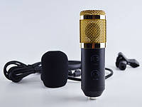 Микрофон студийный с ветрозащитой и стойкой конденсаторный Music D.J. M-800 Black/Gold