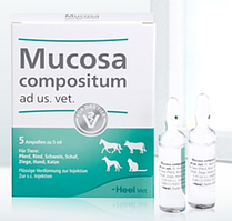 Mucosa compositum 5 мл * 1 ампула (захворювання і травми слизових)