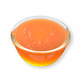 Пюре фруктове для чаю, коктейлів "Пряний апельсин" Gelato Group, 2 кг (премікс, основа), фото 2