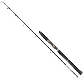 Спінінг Golden Catch Rocky 1.65 м 20lbs (морське бортове вудилище)