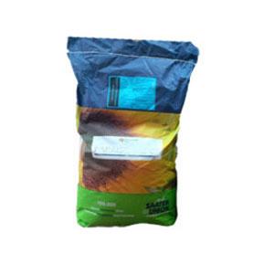 Насіння соняшнику Параізо 102 КЛ Clearfield