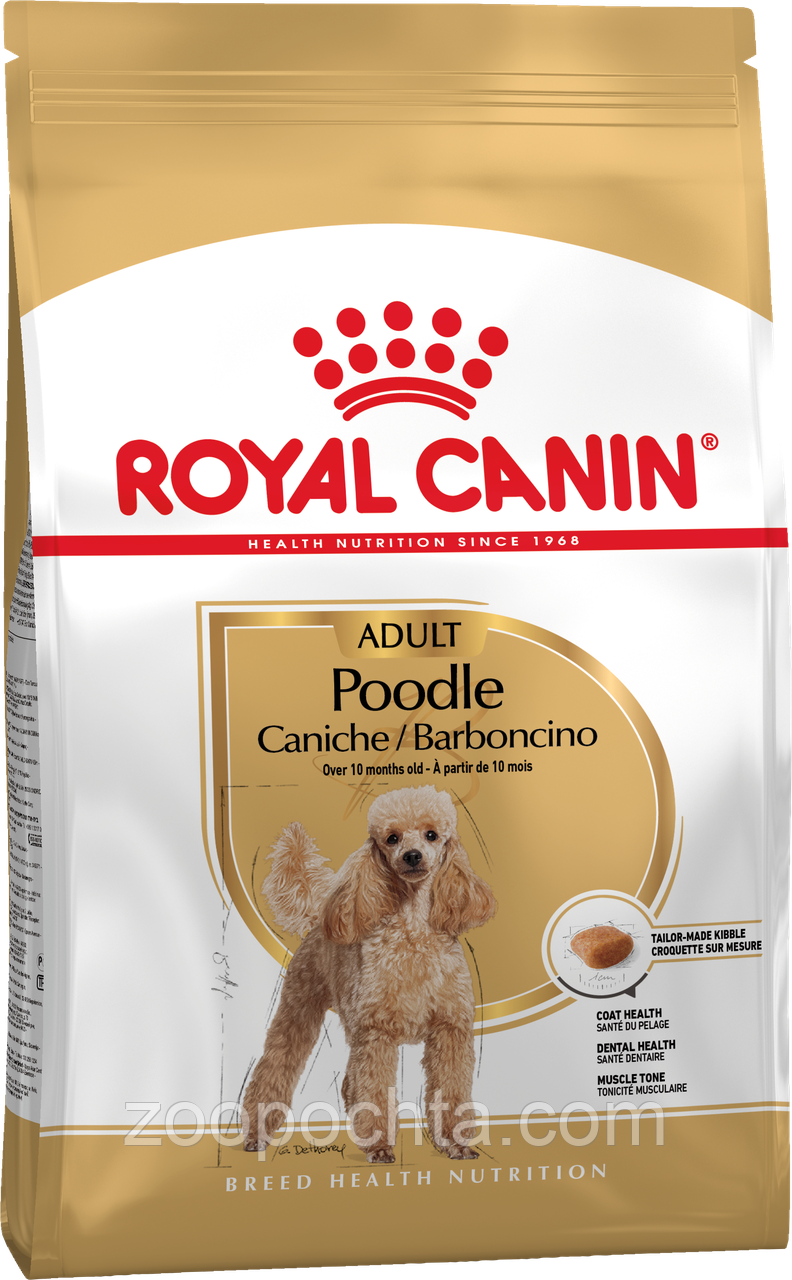 Сухий корм Royal Canin Poodle Adult (Роял Канін Пудель) для собак, 500 гр, фото 1