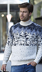 Сімейні светри Ялинки