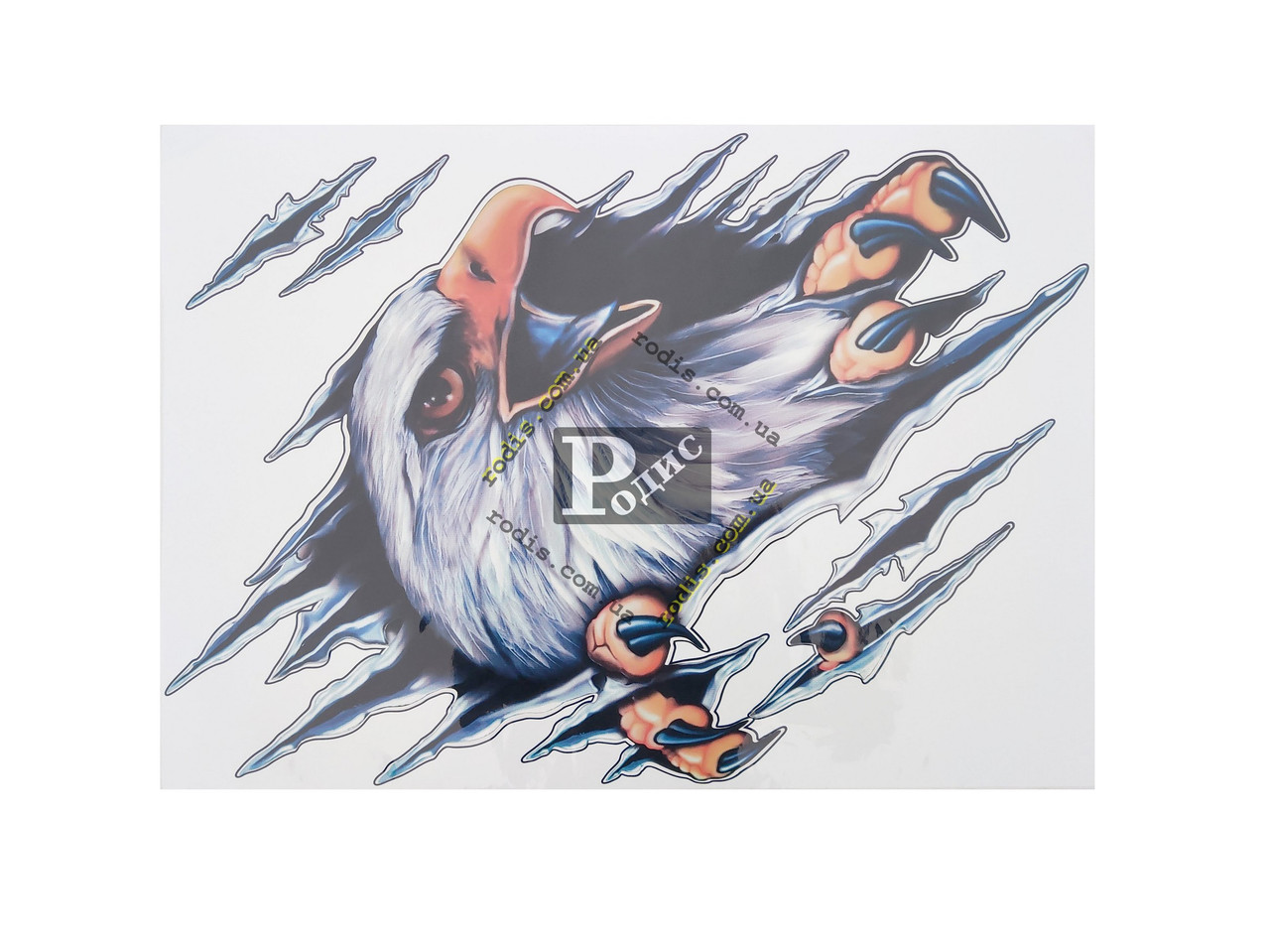 Наклейка на автомобіль Орел голова, кольорова (h=680 мм, l=480 мм)