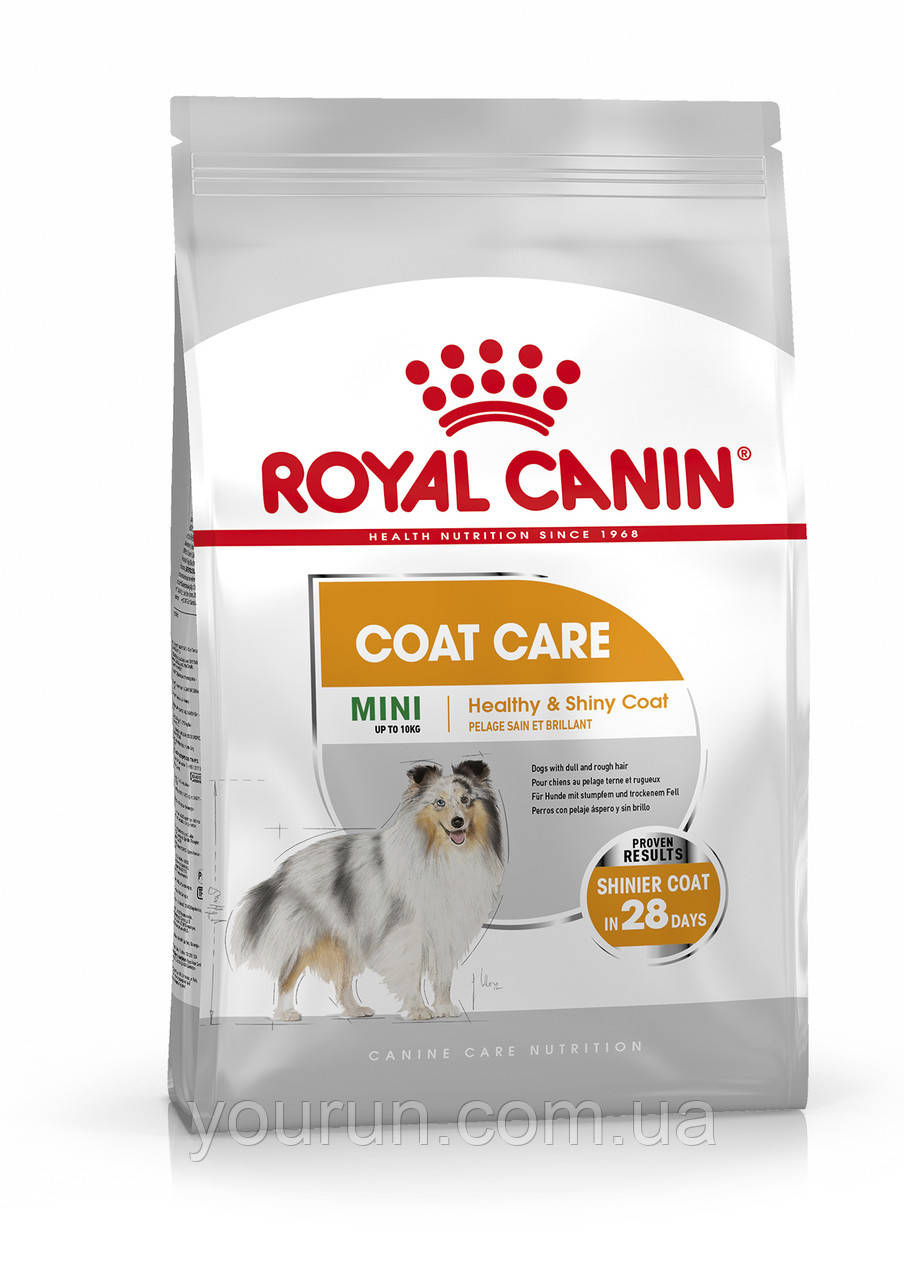 Royal Canin (Роял Канін) Mini Coat Care -корм для собак з тьмяною і сухий шерстю, 1 кг