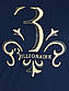 Стильна чоловіча футболка Billionaire 05 / B lacivert у великому розмірі, фото 3