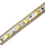 Стрічка LED світлодіодна 220V холодна біла 120 LED/m 6W/m вологозахист IP65 №10/5 120Led, фото 2