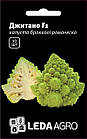 Капуста цвітна романеско "Джитано" F1 10 шт. L (Clause)