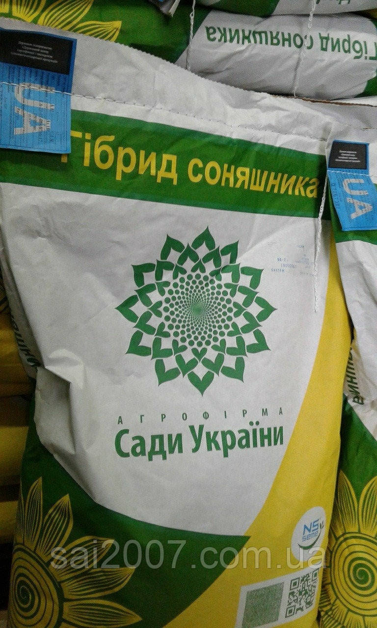 Насіння соняшнику Солярис (NS Х 6376) Стійкий до 7рас Зарази (A-G) Засухостійкий, фото 1