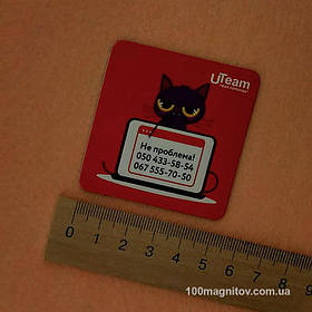 Виниловые магнитики на холодильник. Размер 55х55 мм 6