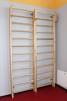 Шведська стінка 2,8 м