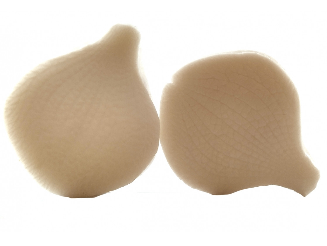 Вайнер Пелюстка орхідеї