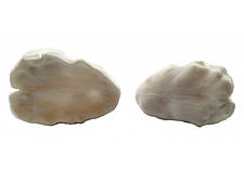 Вайнер Пелюстка тюльпана 3