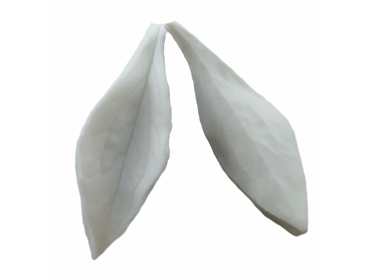 Вайнер Лист півонії