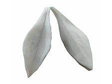 Вайнер Лист півонії