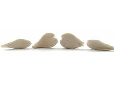 Вайнер набір Альстромерії