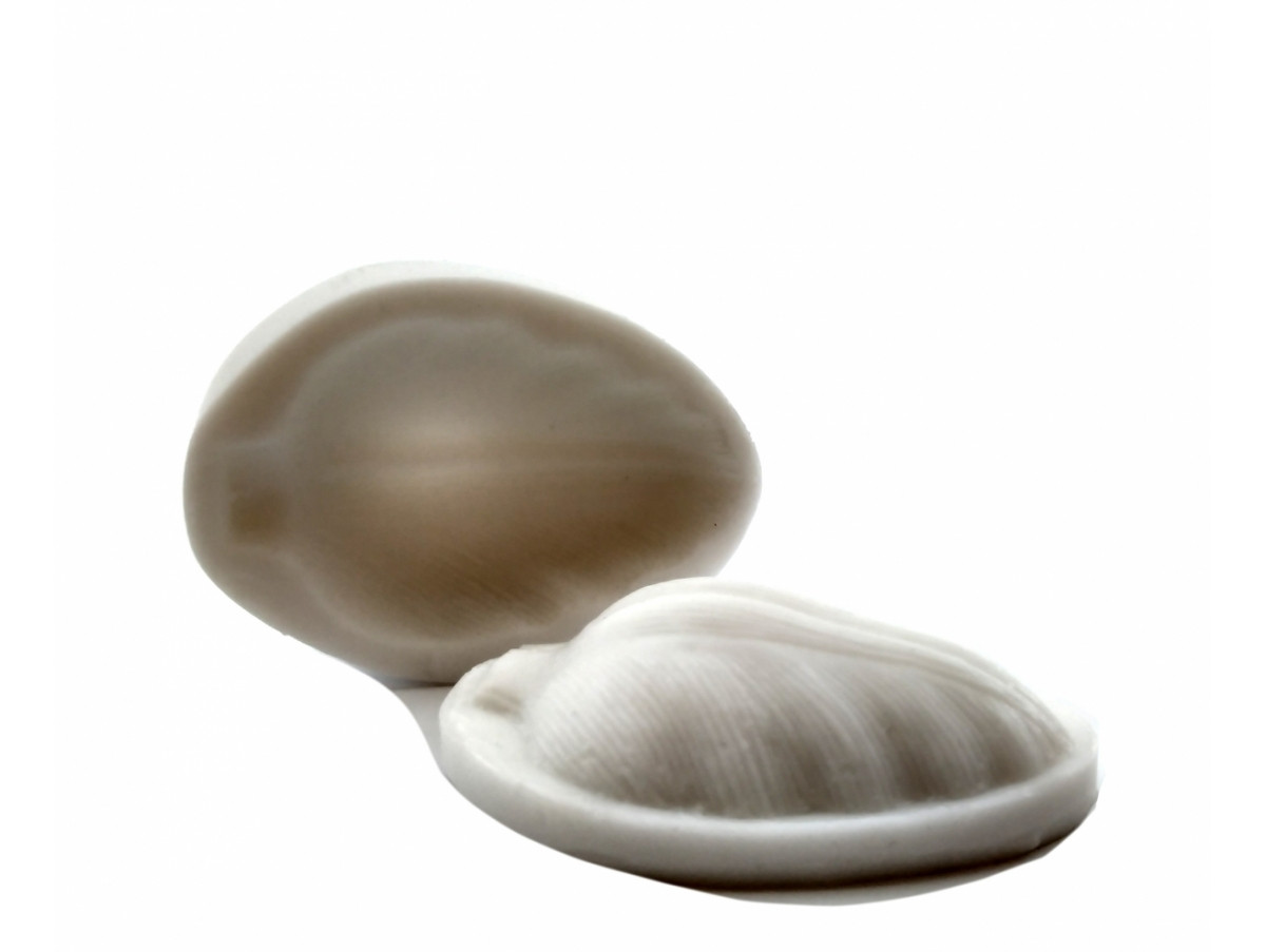 Вайнер для мастики Тюльпан 4