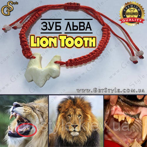 Зуб Льва - "Lion Tooth"