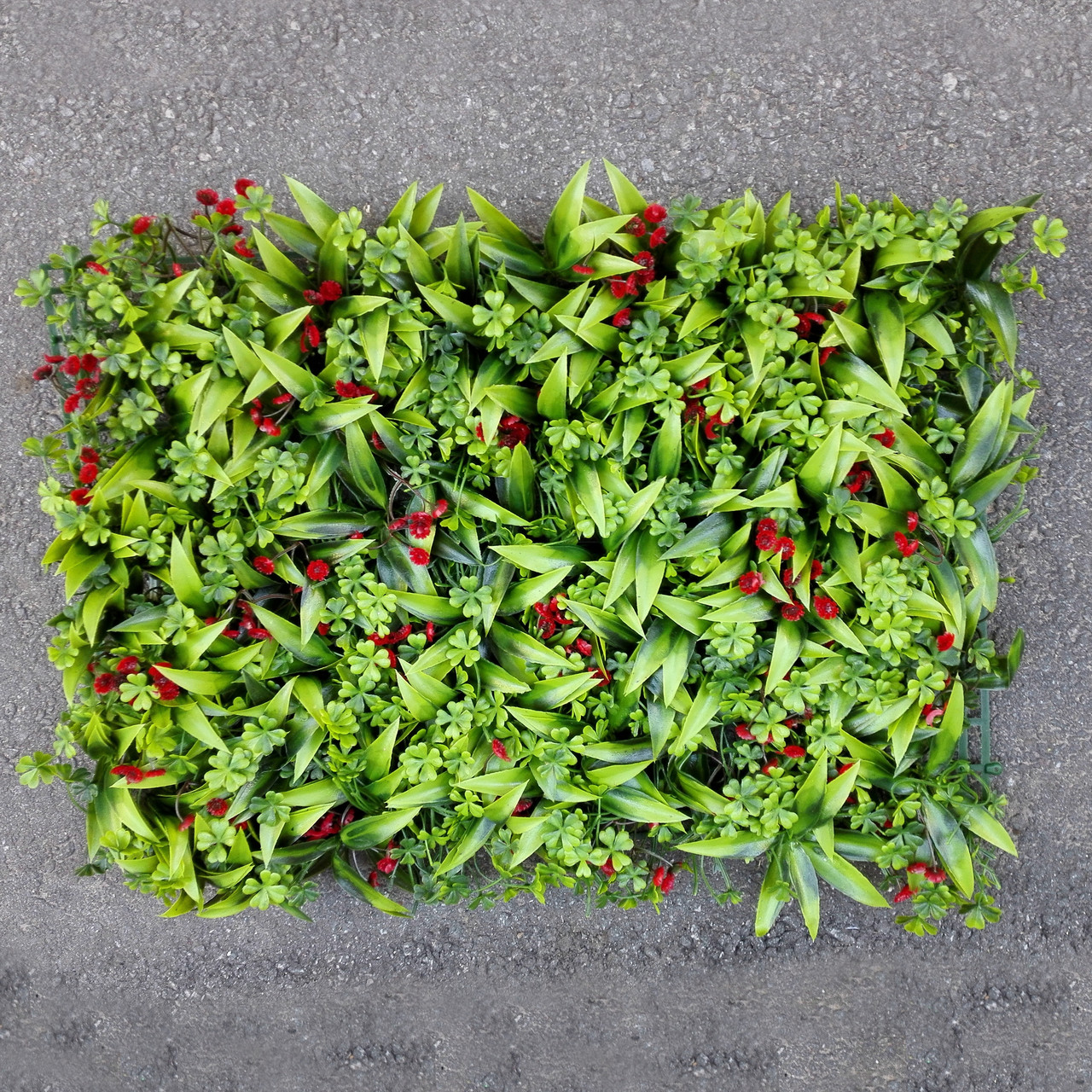 Газон-килимок самшитовий червоні ягоди для фітостен, 40 × 60 см.
