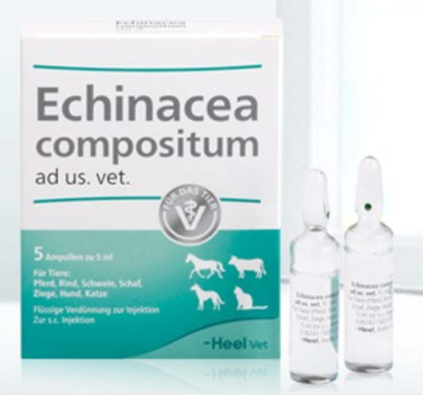 Echinacea compositum 5мл 5 ампул (імуномодулюючий, протизапальний)