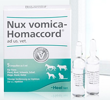 Nux Vomica-Homaccord 5 мл * 5 ампул (регуляція ШКТ)