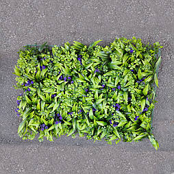 Газон-килимок самшитовий сині ягоди для фітостен, 40 × 60 см.