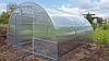 Теплиця «КАЛИНА» 4*8м полікарбонат 4 мм, фото 7