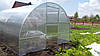 Теплиця Калина 4*6м полікарбонат 6 мм, фото 9