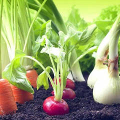 Комплексні добрива для овочів