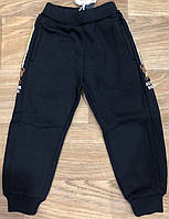 Штани спортивні з начосом для хлопчиків оптом, S&D, 1-5 років, арт. CH-5923, фото 2