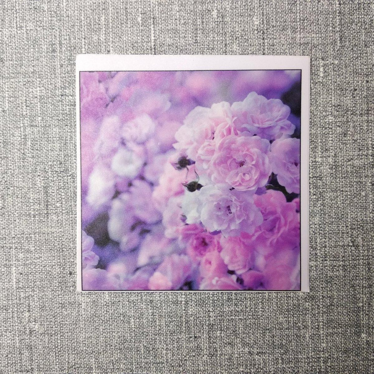 Наклейка на вимикач Бузкові квіти