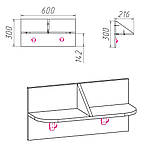 Вішалка-2 яблуня Компаніт, фото 7