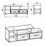 Тумба під ТВ Вінниця горіх екко Компаніт (120х35х43 см), фото 2