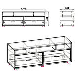 Тумба під ТВ Плазма бук Компаніт (120х38х43 см), фото 2