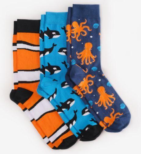 Шкарпетки Dodo Socks набір Kusto 39-41, 3 шт, фото 1