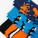 Шкарпетки Dodo Socks набір Kusto 39-41, 3 шт, фото 2