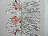 Пташне М. Перемикання генів. Регуляція генної активності та фаг лямбда (б/у)., фото 5