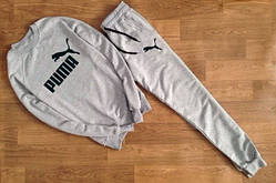 Чоловічий сірий спортивний костюм Puma