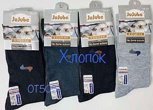 Шкарпетки чоловічі JUJUBE 40-47 Бавовна (12 пар)