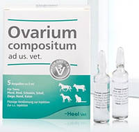 Ovarium compositum (Овариум композитум) ветеринарный 5 мл №5, Heel