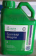 Фунгіцид Болівар Форте (ALFA Smart Agro) 5л, фото 3
