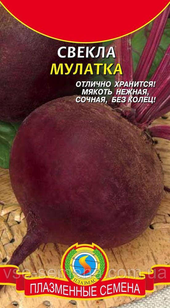 Буряк Мулатка 2,0 г б/п (Плазмінне насіння)