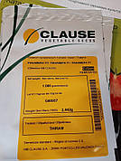 Панамера F1 / Panamera F1 — Томат індетермінантний, Clause. 1000 насіння