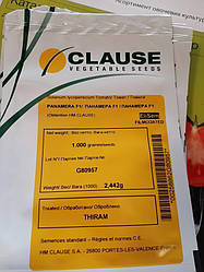 Панамера F1 / Panamera F1 — Томат індетермінантний, Clause. 1000 насіння