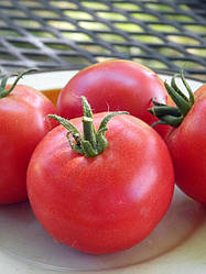 Роял Пінк F1 (Розалін F1)/RoyalPink F1 — Томат полідетермінантний, Enza Zaden. 500 насіння