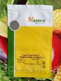 ПИНК КЛЕР F1 (HTP — 11)/Pink Claire F1 — Рожевий Індетермінантний Томат, Hazera. 500 насіння, фото 1